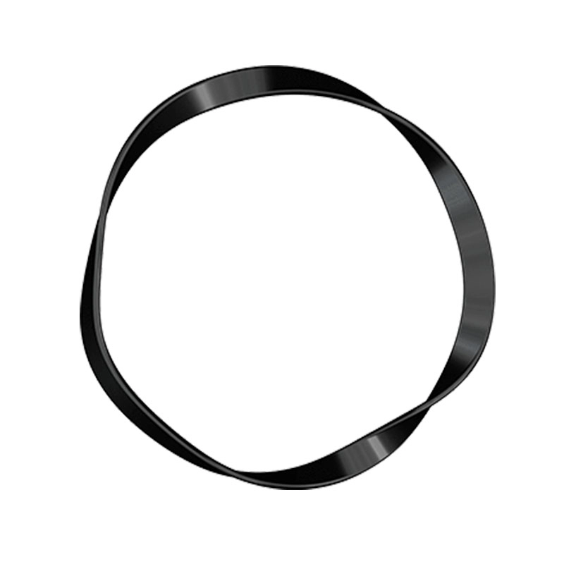 Elastice de par subtiri 10 buc the light hair ring basic
