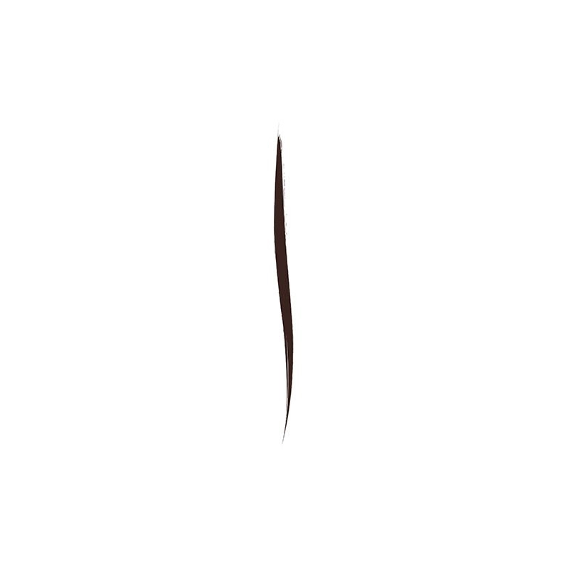 Eyeliner lichid fame chaser
