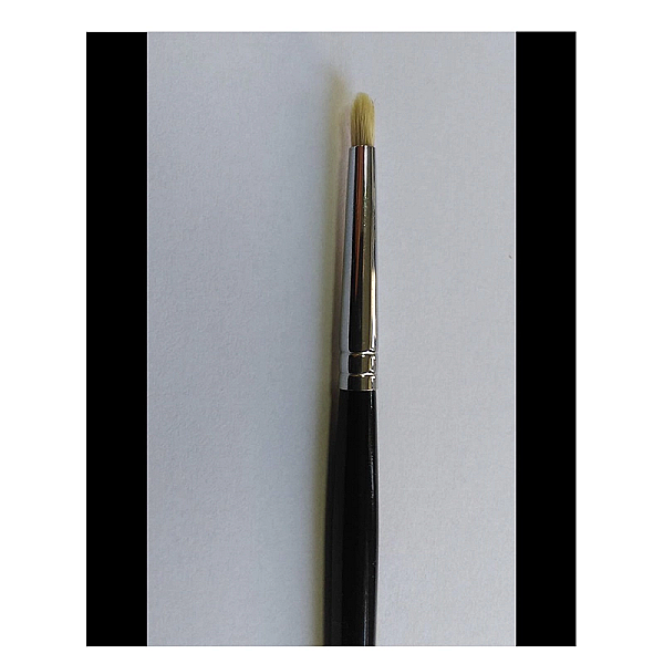 Pensula nr.37 